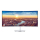 Monitor SAMSUNG 34'' LC34J791WTUXEN QLED UWQHD 100Hz 4ms Curved - 425114 - zdjęcie